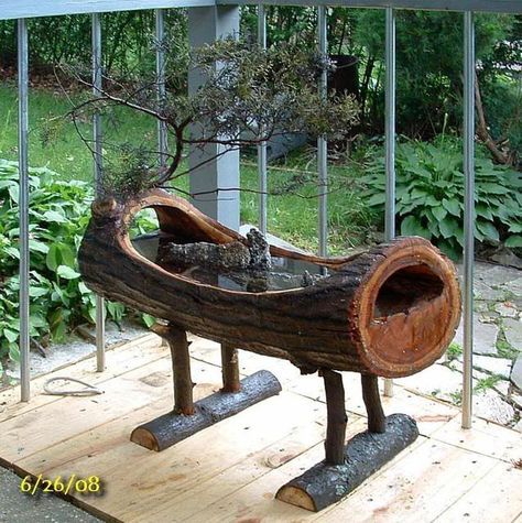 Log birdbath ! How cool is that !! Concrete Bird Bath, Casa Hobbit, Diy Bird Bath, Bird Bath Garden, Diy Birds, Concrete Diy, Garden Lovers, Bird Garden, Garden Crafts