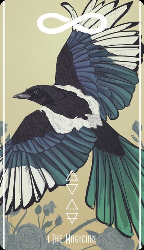 Raven Tarot Cards, Tattoo Magpie, Tarot Symbols, Magpie Tattoo, Magpie Art, The Magician Tarot, Horoscope Compatibility, Tarot Major Arcana, Tarot Cards Art