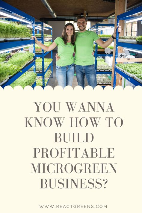 Microgreens Growing, Micro Green Business, Micro Greens, Microgreens Business Plan, Microgreens Packaging Ideas, Microgreen Growing, Microgreen Farming, Microgreen Business, Microgreens Business