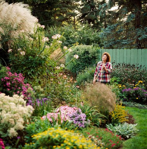 Yard Privacy, Privacy Trees, Privacy Landscaping, Midwest Living, Backyard Privacy, Have Inspiration, Home Landscaping, Landscaping Tips, Flowers Wallpaper