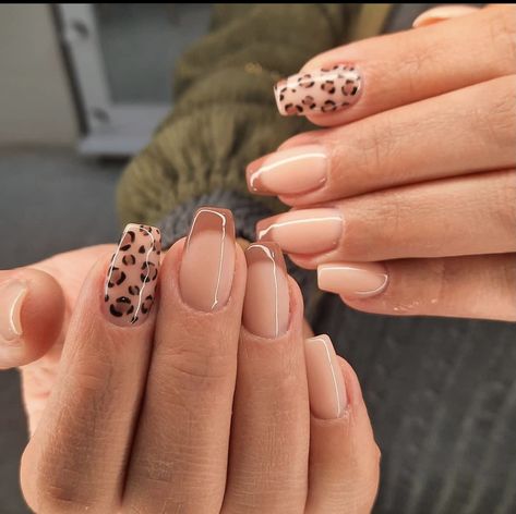 Acrylic Nail Designs Cheetah Print, Tan Cheetah Nails, Safari Inspired Nails, Cheetah Print Fall Nails, Cheetah Print Acrylics, Chetta Print Nail, Safari Nail Ideas, Nude Cheetah Nails, Nail Designs Cheetah Print