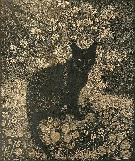 Cat by Lionel Lindsay (1874-1961) Australian painter, etcher, engraver, illustrator, teacher and journalist. Stary Papier, Australian Painters, Arte Peculiar, A Black Cat, Wow Art, Vintage Poster Art, Pics Art, Pretty Art, Dark Art