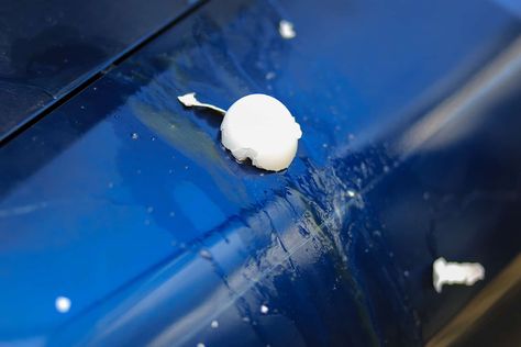 How to Remove Egg Stains from Your Car’s Paint Job Homemade Tire Shine, Tire Shine, Truck Detailing, Car Paint Jobs, Car Cleaning Hacks, Microfiber Towel, Ceramic Coating, Baby Oil, Cleaners Homemade