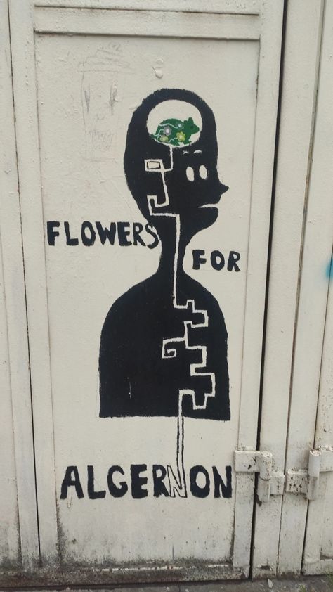 Flowers For Algernon Tattoos, Flowers For Algernon Fanart, Flowers For Algernon, English Project, English Projects, Book Recs, Murals Street Art, Books Art, Book Drawing