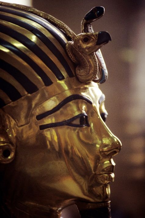 Ancient Egypt Aesthetic Gold, Gold Egypt Aesthetic, Pharoah Egyptian Aesthetic, Sphinx Aesthetic, Egyptian Aesthetic Ancient Egypt, Pharoah Egyptian, Gold Restaurant, Ancient Egypt Aesthetic, Ancient Alexandria