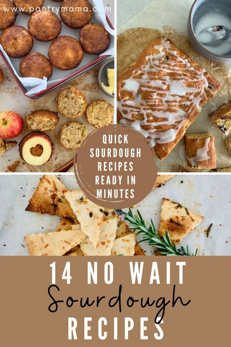 Quick Recipes With Sourdough Starter, Easy Sourdough Snacks, No Rise Sourdough Recipes, Sourdough Starter Discard Recipes Healthy, Sourdough Discard No Wait, Easy Sourdough Recipes No Wait, Eggless Sourdough Recipes, Sourdough Recipes Quick, Sourdough Side Dish