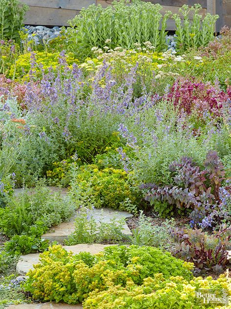 Sedum, succulents, cacti, Euphorbia, Cotoneaster, Mahonia, lilac, Santolina, ice plant, thyme, lavender, Echeveria, agave, allium, and iris are just a few options - this gorgeous garden path proves that a fire-resistant garden can still be colorful. Red Creeping Thyme, Covered Backyard, Early Spring Flowers, Concrete Walkway, Have Inspiration, Ground Cover Plants, Backyard Playground, Garden Pathway, Landscaping Tips