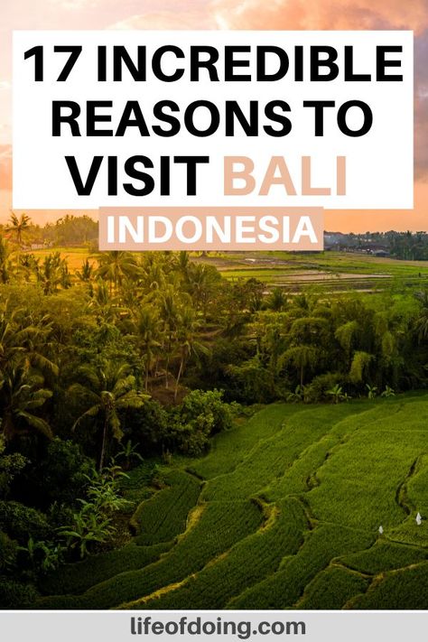 Not sure if you want to visit Bali in the future? Check out this post on the top 17 reasons to visit Bali at least once! Why visit Bali | Why you should visit Bali | Bali travel guide | Bali travel tips | What to do in Bali | Bali bucket list | Things to do in Bali | Bali inspiration | Bali photo spots | Beautiful places in Bali | Best places to visit in Bali | Bali wanderlust #LifeOfDoing #VisitBali Visit Bali, Bali Bucket List, Things To Do In Bali, Bali Itinerary, Bali Travel Guide, Gili Island, Travel Content, Travel Asia, Asia Travel Guide