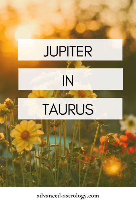 Jupiter In Taurus, Jupiter Sign, Outer Planets, Negative Traits, Taurus Woman, Get Lucky, Astrology Chart, Earth Signs, Natal Charts