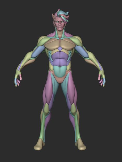 Simplified Male Anatomy, Base Mesh Female, Stylized Character Anatomy, Hand Turnaround, Female Muscle Anatomy, Arms Anatomy, Simplified Anatomy, Muscular Arm, Stylized Anatomy