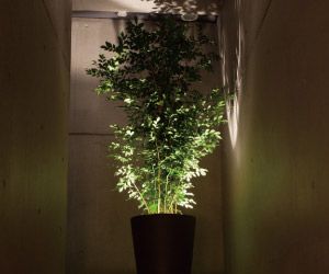 Halo Light Planter Hotel Plants, Indoor Planter Box, Halo Light, Tv Lighting, Hotel Hallway, Indoor Tree, Black Thumb, Modern Led Lighting, Unique Planter