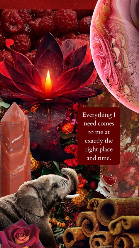 "Everything I need comes to me at exactly the right place and time." Chakra Aesthetic, Red Chakra, Aesthetic Collage Wallpaper, Chakra Lotus, Lotus Flower Wallpaper, Lotus Wallpaper, Cinnamon Red, Muladhara Chakra, Inspirational Wallpaper