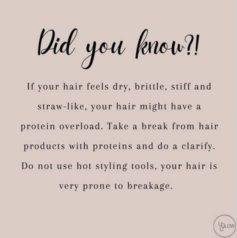 Hairstylist Tips Hair Tricks, Hair Facts Tips, Tip Tuesday Hair, Hair Tip Tuesday Quotes, Hair Tip Tuesday, Quotes Hairstylist, Hairstylist Post, Appointment Template, Curly Hair Needs