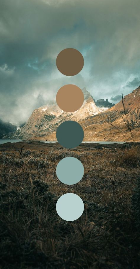 Colors Moodboard, Color Branding, Website Color Palette, Style Tips And Tricks, Hex Color Palette, House Color Palettes, Moodboard Inspiration, Color Schemes Colour Palettes, Color Drawing