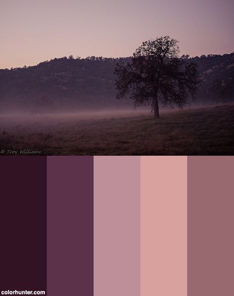 Lonely-1 Color Scheme from colorhunter.com Colors That Go With Plum, Plum Color Palette Colour Schemes, Purple Pallete Color, Dusty Pink And Purple Color Palette, Smokey Purple Color Palette, Dark Violet Color Palette, Purple Palette Colour Schemes, Color Palette Mauve, Dark Purple Pallete Color