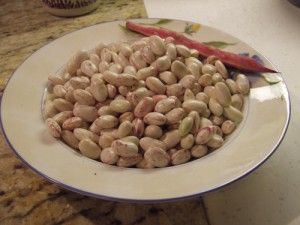 October Beans Recipe, October Beans, Creamed Peas, Vegan Main Dishes, Local Farmers Market, Stuffed Shells, Bean Recipes, End Of Summer, How To Cook