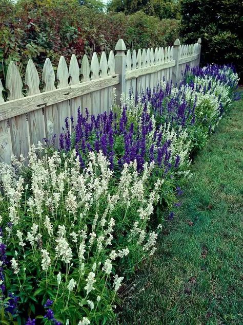 33 Garden Fence Ideas Adorned With Stunning Flowers Garden Design Against Fence, Flowerbeds Along Fence, Front Fence Garden Ideas, Lavender Fence Border, Small Fence Ideas Front Yards, Landscape Ideas Fence Line, Fence Planting Ideas, Flower Beds Along Fence, Landscape Along Fence Line