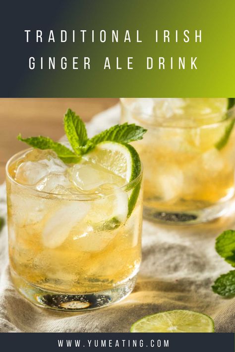 Easy drink to make this traditional Irish Ginger Ale recipe is simple to make and refreshing to drink. Perfect for a hot summer’s day or a get together with friends. Drinks With Ginger Ale, Ginger Lemonade Recipe, Ginger Ale Drinks, Get Together With Friends, Ginger Ale Recipe, Easy Drinks To Make, Ale Recipe, Ginger Lemonade, Drink Syrups