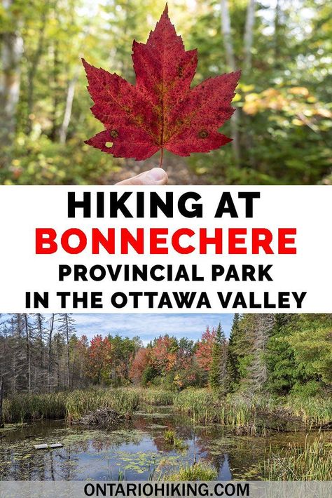 Bonnechere Provincial Park offers unique, informative, and beautiful hiking trails in the Ottawa Valley. Venture to the McNaughton Trail at the park or several of the Walks of the Little Bonnechere River. Let me show you all the best places to go hiking at one of the top Ontario Parks.   #Ottawa #OttawaValley #Hiking #HikingTrails #Ontario  Things to do near Ottawa | Hikes near Ottawa | Hiking in Ottawa | Hiking in the Ottawa Valley | Ontario Hikes | Bonnechere Provincial Park Hiking | Ontario P Hiking Ontario, Ontario Road Trip, Ottawa Valley, Ontario Parks, Ontario Travel, Canada Travel Guide, Canadian Travel, Hiking Tips, Go Hiking