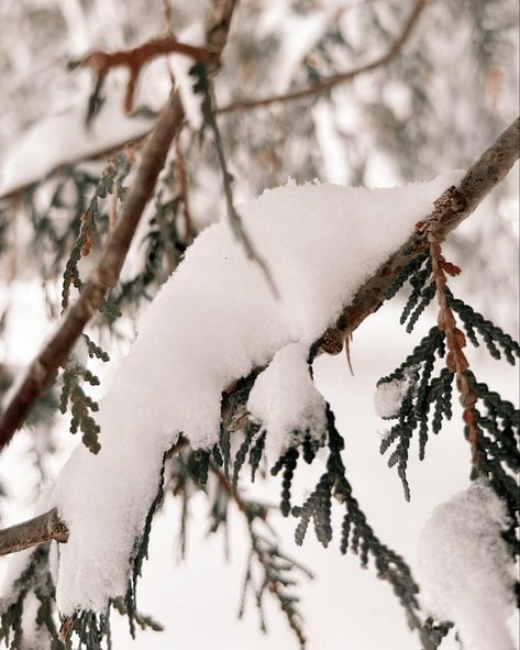 English Culture, Background References, Taking Shape, Winter Scene, Winter Scenes, Rustic Christmas, Close Up, Drawings, Books