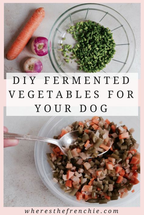 Diy Probiotics For Dogs, Dog Probiotics Diy, Natural Probiotics For Dogs, Fermentation Station, Gut Reset, Dog Probiotics, Fermented Veggies, Healthy Dog Treats Homemade, Natural Probiotics