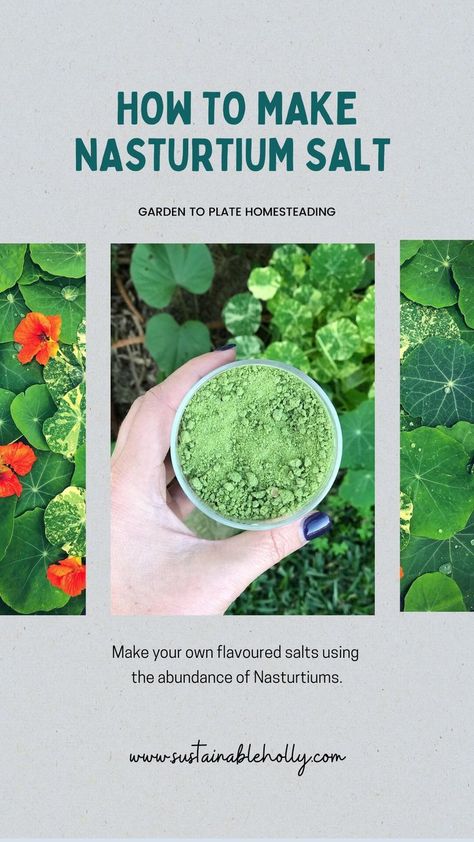 nasturtium salt recipe Flavoured Salt, Edible Flowers Recipes, Flavored Salts, Harvest Recipes, No Salt Recipes, Veg Garden, Wild Edibles, Container Gardening Vegetables, Flower Food