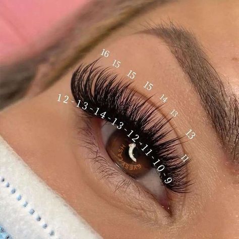 Wispy Spike Lash Extensions Map, 9d Volume Lashes, D Curl Lash Mapping, Wispy Russian Volume Lashes, Cat Volume Lashes, Soft Glam Wispy Lashes, Dramatic Wispy Lash Extensions Mapping, Volume Lash With Spikes, Wispy Volume Mapping