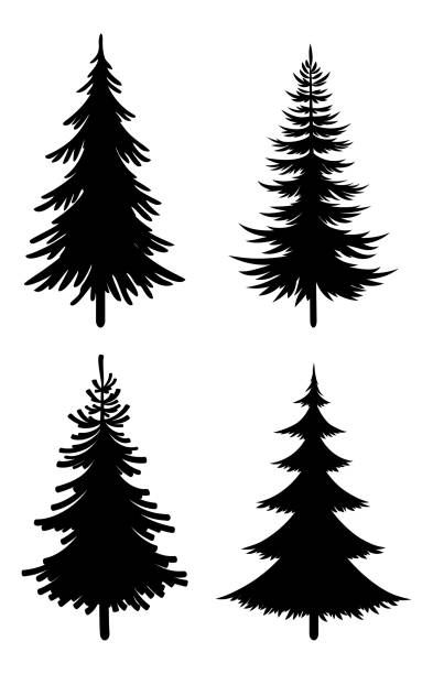 32,600+ Pine Trees Silhouette Stock Photos, Pictures & Royalty-Free Images - iStock | Pine tree vector, Tree line, Pacific northwest trees Pine Trees Silhouette, Christmas Illustration Design, Trees Silhouette, Vintage Typography Design, Christmas Tree Silhouette, Pine Tree Silhouette, Laser Cut Decor, Branch Vector, Laser Cut Wood Crafts