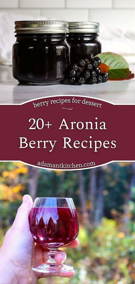 Aronia Berry Syrup, Barberry Recipes, Aronia Berry Jam, Honeyberry Recipes, Chokeberry Recipes, Ginger Jelly Recipe, Aronia Berry Recipes, Nuwave Recipes, Apothecary Ideas