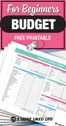 FREE amazing budget printable & worksheet! This is an awesome guide to budgeting for beginners. The best basic tips for money management are all answered in this post! Saving Money Monthly, Budget Monthly, Free Budget Printables, Budget Sheet, Monthly Budget Printable, Printable Budget, Finance Printables, Free Budget, Finance Plan