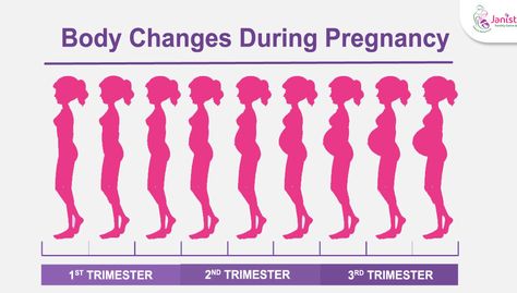 From the primary indications of pregnancy until the time you conceive a baby, your body experiences some significant changes. Pregnancy endures around 40 weeks, checking from the first day of your last normal period. The weeks are assembled into three trimesters. Discover what's going on with you and your child in these three phases. First Month Pregnancy, Pregnancy Body Changes, Body Changes During Pregnancy, Trimester By Weeks, Extreme Tiredness, First Month Of Pregnancy, Liver Issues, 1st Trimester, Pregnancy Body