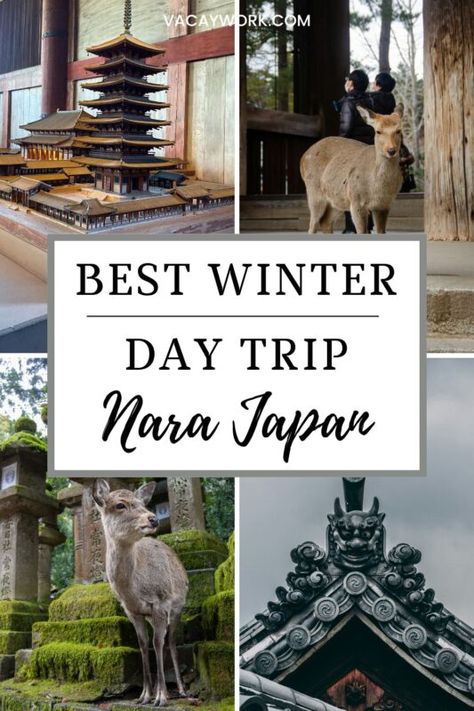 Collage featuring Nara’s famous pagoda model, a close-up of a deer, and traditional temple architecture. Text overlay: 'Best Winter Day Trip - Nara Japan Nara Japan Winter, Nara Deer Park, Japan In Winter, Winter Start, Nara Deer, Japan Winter, Sika Deer, Start Of Winter, Winter Trip