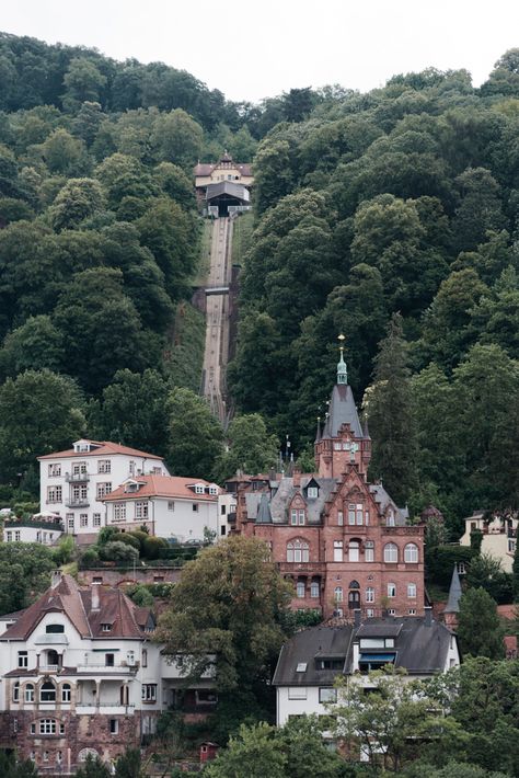 Top Things to Do in Heidelberg, Germany - For the Love of Wanderlust Speak German, October Fest, Germany Trip, Heidelberg Germany, Stop Waiting, Cities In Germany, Travel Germany, Visit Germany, Ancient Greek Architecture