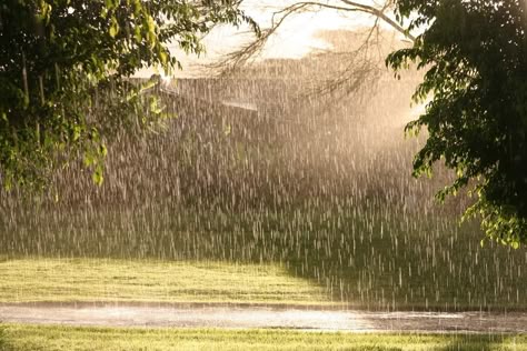 Rain in the sunshine Rain Photo, Rainy Day Aesthetic, I Love Rain, Love Rain, Summer Rain, Rainy Weather, Summer Memories, When It Rains, Rain Photography