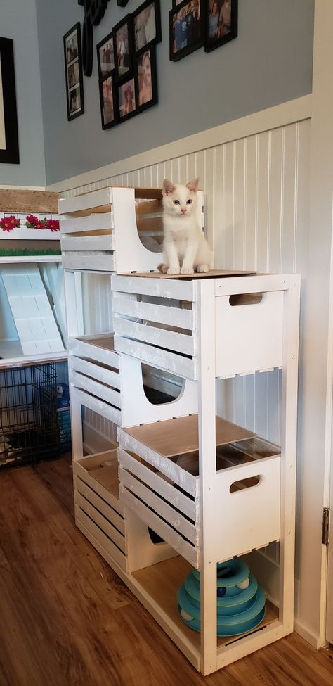 Diy Crate Cat Tree, How To Build A Cat Tower, Crate Cat Tower, Crate Cat Tree, Wood Crate Cat Wall, Cat Cubby, Cat Crate Ideas, Diy Wooden Cat Tree, Homemade Cat Beds Diy