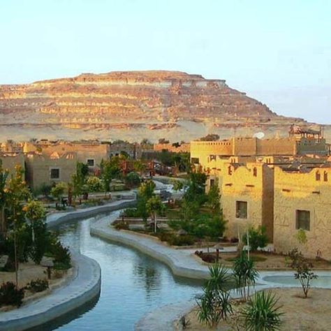 Siwa Oasis | Siwa Oasis Facts | Western Desert | Egypt Attractions Siwa Oasis, Fantasy Island, Egypt History, Desert Oasis, Voyage Europe, Egypt Travel, Stunning View, Ancient Egypt, Cairo