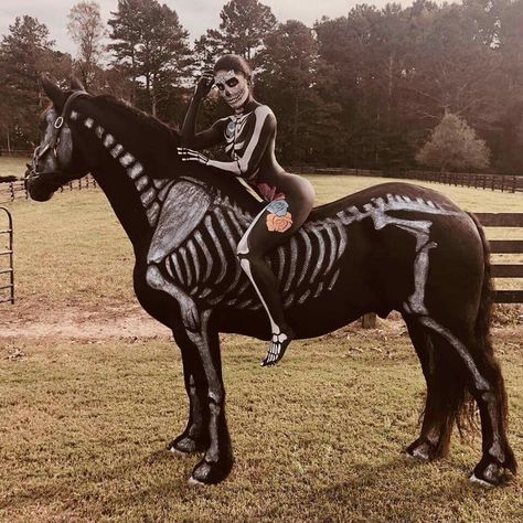 Skeleton Horse Halloween Costumes, Best Funny Photos, Horse Costumes, Music Humor, Pretty Horses, Dia De Muertos, Body Painting, Funny Images, Good Music