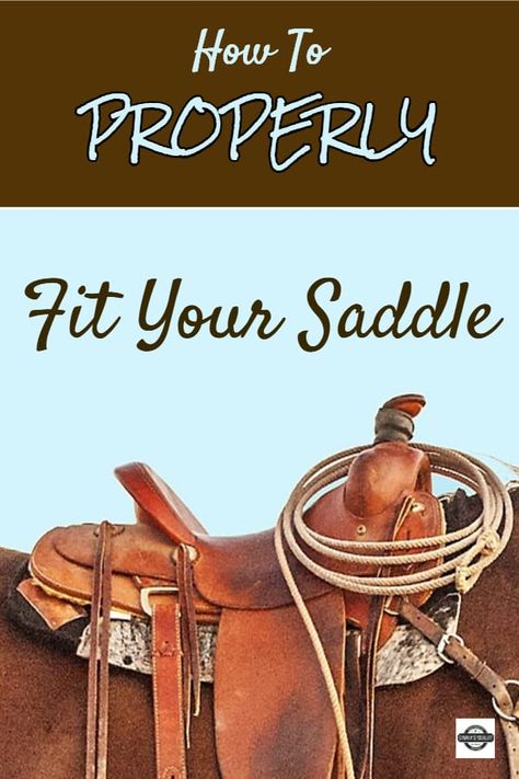 How To Fit A Saddle To A Horse, How To Saddle A Horse, How To Saddle A Horse Step By Step, Horse Guide, Riding Tips, Horse Knowledge, Horse Care Tips, Saddle Fitting, Equestrian Helmet