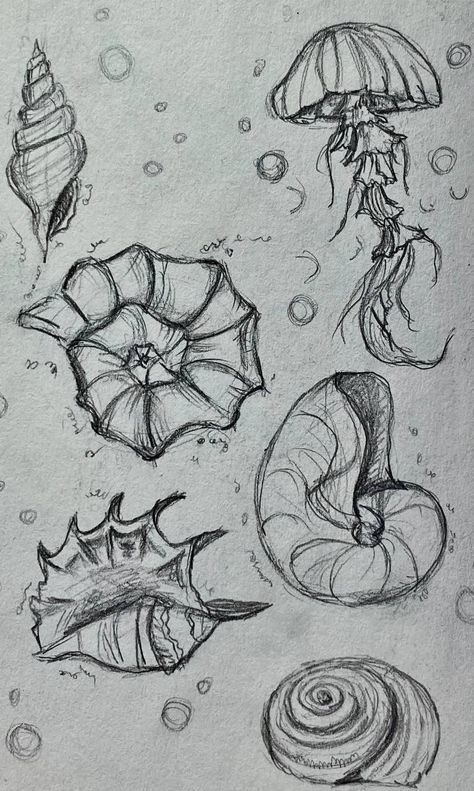 Drawing References Scenery, Aesthetic Sketches Ideas Cute, Healing Through Art, Sea Theme Drawing, Under Sea Creatures, Harpoon Drawing, Sketchbook Ideas Animals, Mythical Sea Creatures Drawing, Aquatic Sketches