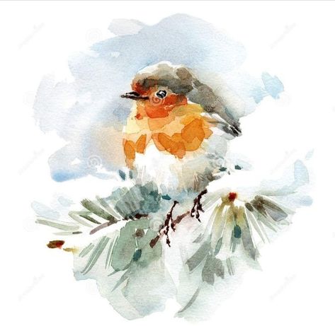 Robin Drawing, Branch Watercolor, Sennelier Watercolor, Bird Painting Acrylic, Loose Watercolor Paintings, Bird Sitting, Bird Watercolor Paintings, Watercolor Winter, Winter Watercolor