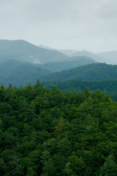 The Great Smoky Mountains Smoky Mountains Tennessee, Mountains Tennessee, Pigeon Forge Cabin Rentals, Gatlinburg Cabin Rentals, Gatlinburg Pigeon Forge, Mountain Background, Gatlinburg Cabins, Green Mountains, Cades Cove