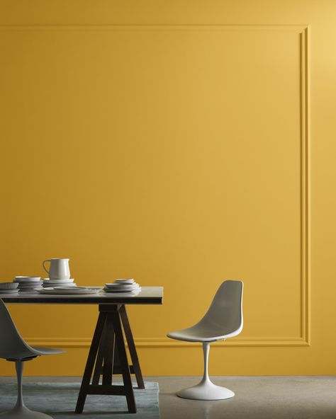 A deep ochre with rich amber undertones. Benjamin Moore Yellow, Paint Color Swatches, Mustard Yellow Walls, Top Paint Colors, Taupe Paint, Yellow Paint Colors, Mustard Walls, Yellow Room, Paint Colors Benjamin Moore