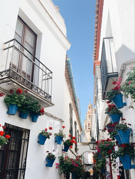 attractions in córdona | sight seeing | flowers | aesthetic | flower wall | red flower | spain aesthetic | spain travel | travel aesthetic | travel essentials | travel outfit | clean girl aesthetic | clean girl outfits | #instagram | #aesthetic | #fashion | #travel | #trendy | #travelguide | #traveltips | #spain | #spaintraveltips | #spainfood | aesthetic wallpaper | #flowers | places to visit in spain Southern Spain Aesthetic, Places To Visit In Spain, Clean Girl Outfits, Aesthetic Clean Girl, Spain Aesthetic, Sight Seeing, Aesthetic Clean, South Of Spain, Red Geraniums