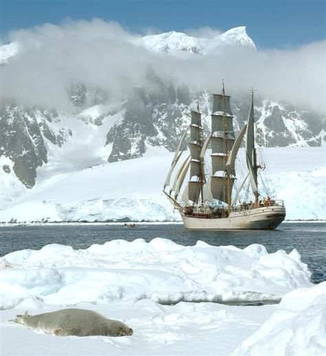 twitter Deception Island, Matthias Helvar, Navi A Vela, Old Ship, Ship Sailing, No Mourners No Funerals, Sailing Vessel, Tall Ship, Leigh Bardugo