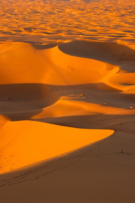 Incredible desert view, sandy dunes during the golden hour Perfect Iphone wallpaper or a poster Eastern Aesthetic, Sand Aesthetic, Desert Morocco, Desert Aesthetic, Travel Vibes, The Golden Hour, Desert Oasis, Orange Aesthetic, Dream Wedding Ideas Dresses