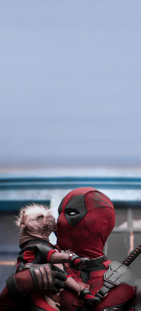 Deadpool Dogpool Wallpaper, Deadpool Lockscreen Wallpaper, Deadpool Wallpaper Comic, Deadpool Phone Wallpaper, Deadpool And Wolverine Dogpool, Deadpool 3 Wallpaper, Deadpool And Dogpool, Deadpool 3 Poster, Deadpool And Spiderman Wallpaper