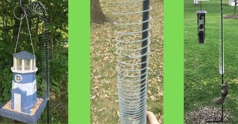 Bird Feeder Poles, Simple Video, Bird Feeder, Squirrels, Video Tutorial, Garden Arch, Bird Feeders, Climbing, Outdoor Structures