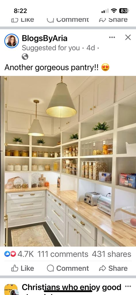 Pantry Counter, Walk In Pantry Ideas, Pantry Renovation, Pantry Closet Design, Pantry Layout, House Pantry, Pantry Inspiration, Pantry Laundry Room, Diy Kitchen Projects