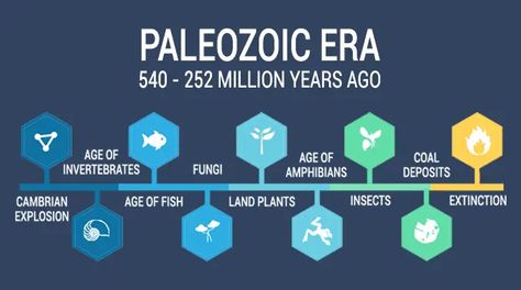 Cambrian Explosion, Paleozoic Era, Impact Event, History Of Earth, Plant Insects, Earth View, Dry Desert, Life On Earth, Beneath The Surface