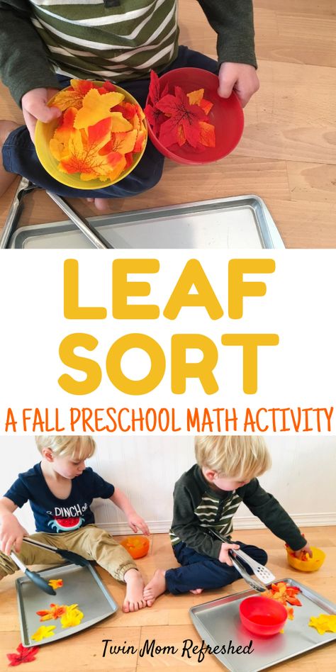 Fall Movement Activities For Toddlers, Fall Theme Montessori Activities, Fine Motor Leaf Activities, Fall Math Preschool Activities, Fine Motor Activities For Preschoolers Fall, Harvest Time Preschool Activities, Leaf Sorting Activity, Autumn Maths Activities For Preschool, Fall Table Top Activities For Preschool